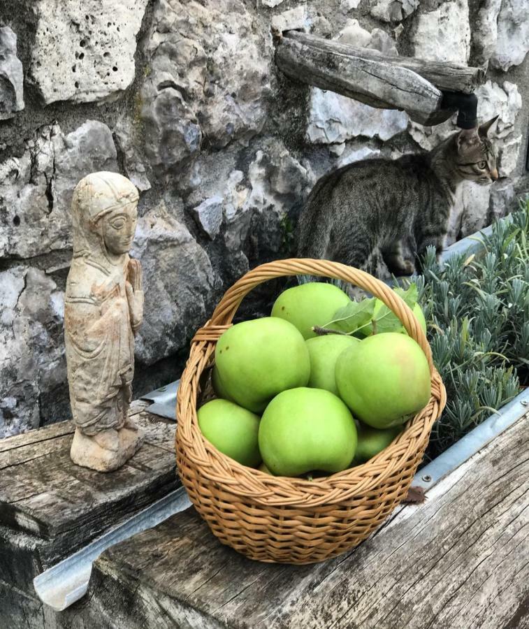 Masia Cap Del Roc Vallcebre 외부 사진