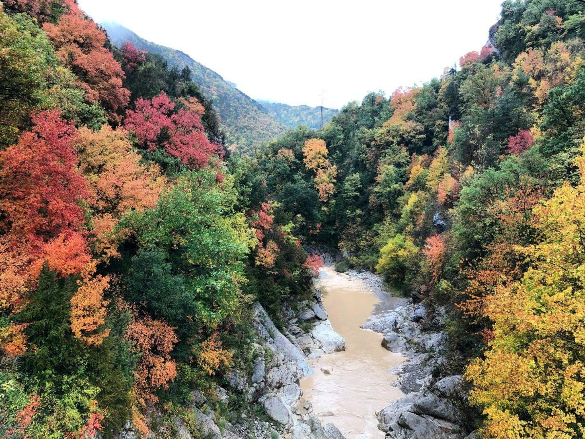 Masia Cap Del Roc Vallcebre 외부 사진